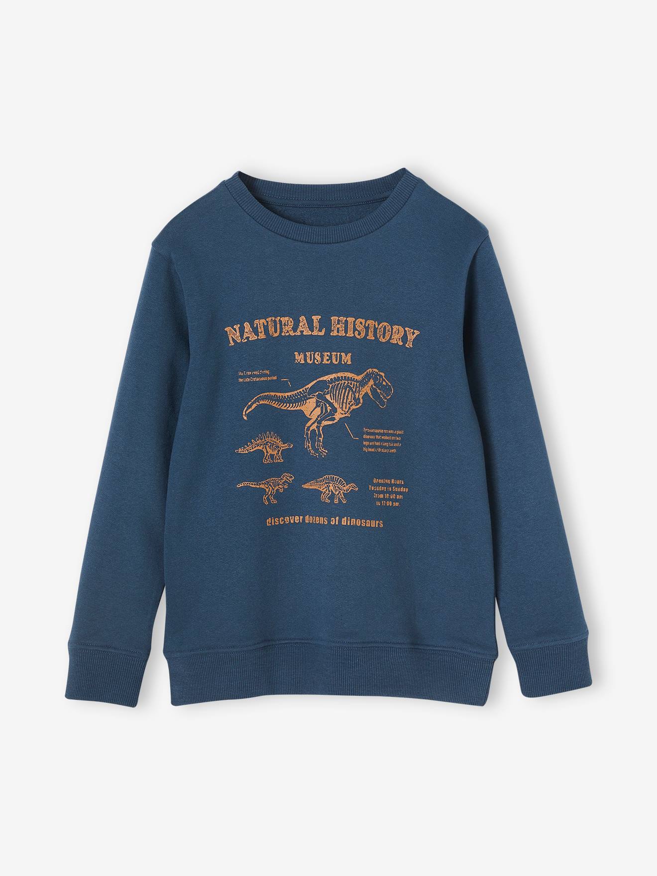 https://kids-avenue.com.ua/pages/gallery/6523/sweat-basics-motifs-graphiques-garcon (1).jpg